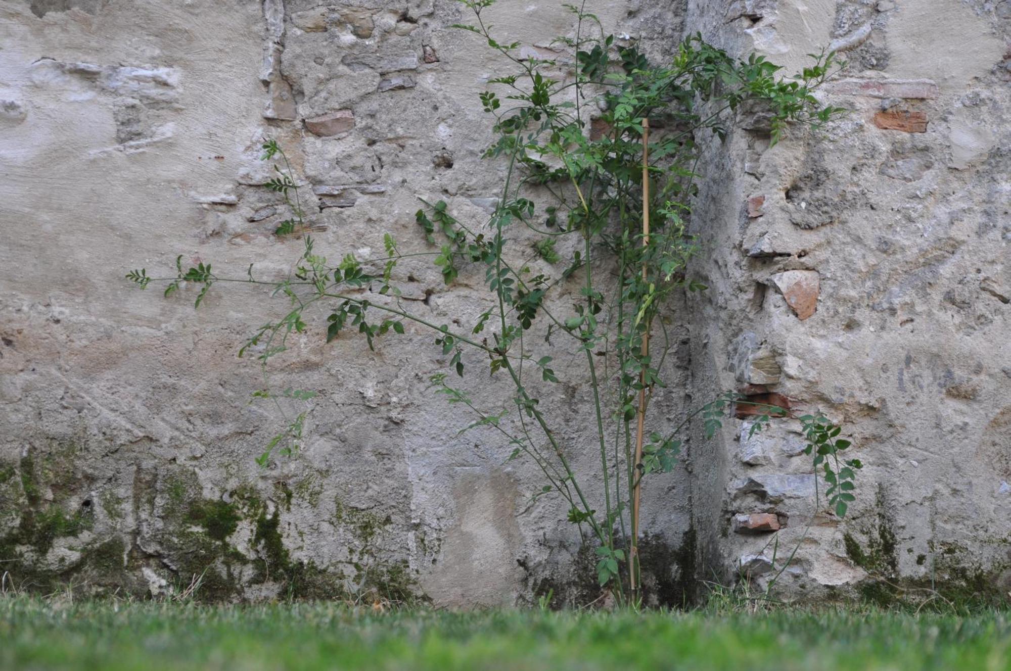 Convento Tarifa Otel Dış mekan fotoğraf